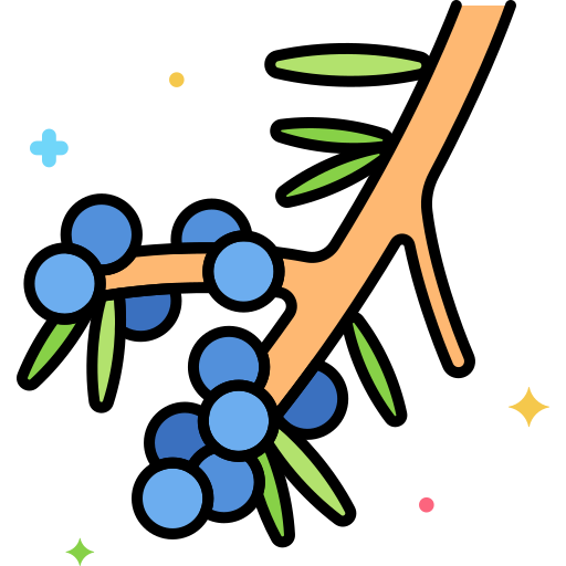 juniper berry